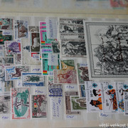 IMG-3737