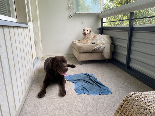 7116-E411-1-E8-B-4153-A5-B2-E26-FA5-C106