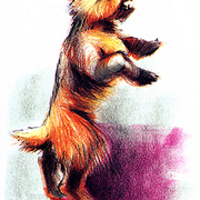 Dog-Podunk
