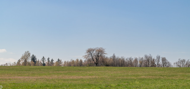 plawna 07.jpg