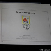 IMG-2172