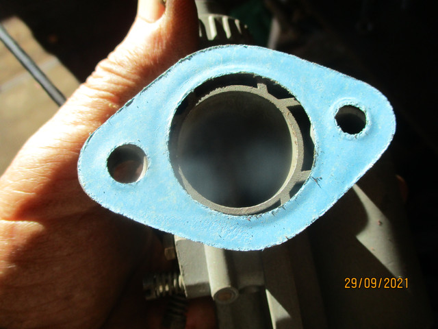 IMG-8479.jpg