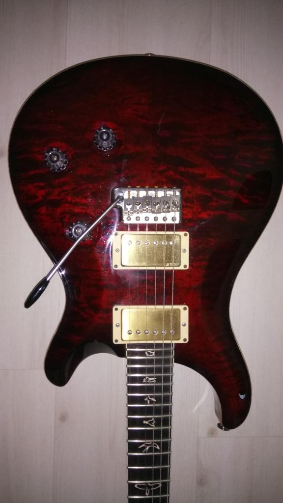 prs-2010b.jpg