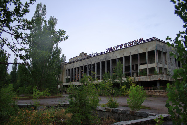 IMG-6016.jpg