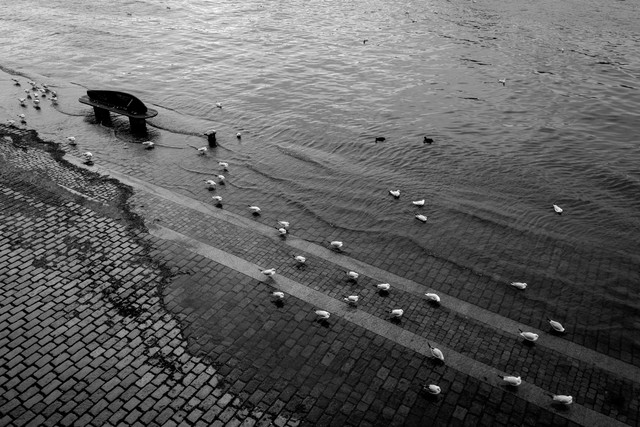 IMG-0628