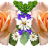 0-827d0-d2a968bb-XL