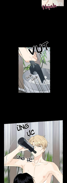 017.png