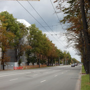 DSCN6942