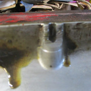 IMG-9061