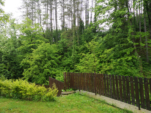 IMG-20230518-172833