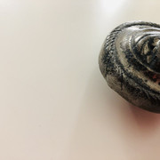 IMG-E5092