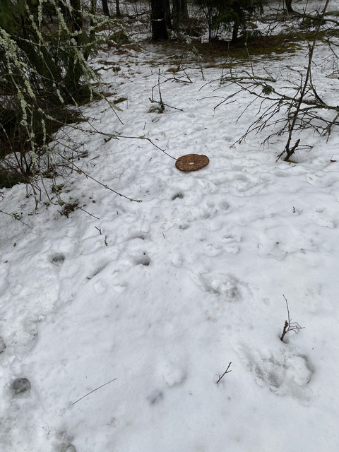 B44-CFA2-B-77-BA-4-E2-C-B418-E542-F6-DD0