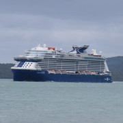 IMG-6630
