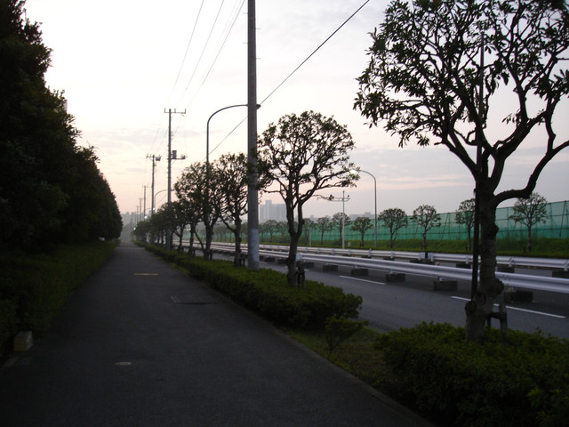 2009-10-13-14-059.jpg