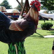DSC08020