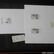 IMG-2391