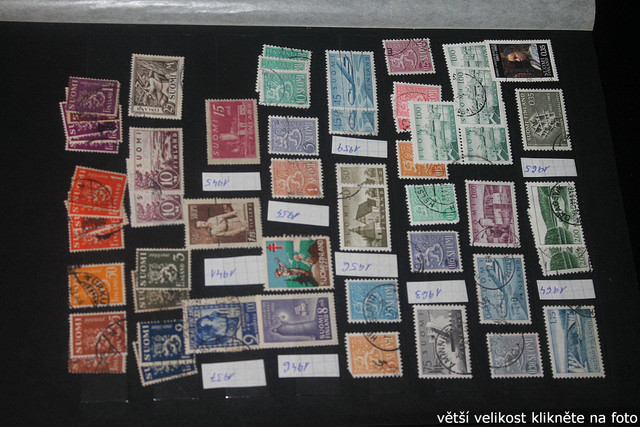 IMG-2482