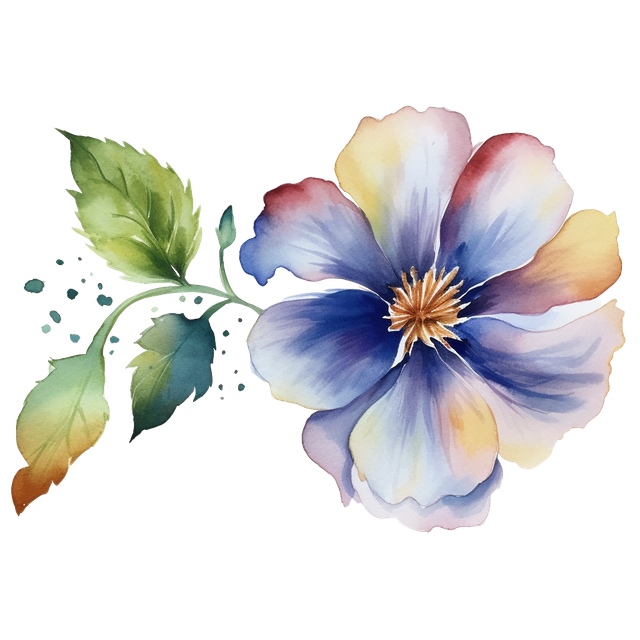 9ed38c9ffbd83da71229a4e04a5b7286.png