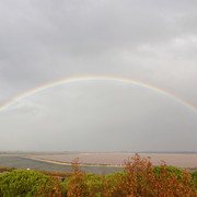 IMG-3324