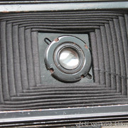 IMG-5603