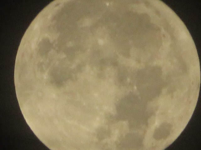 moon-020.jpg