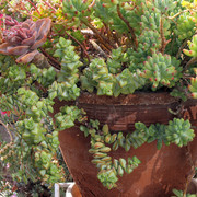 IMG-7876