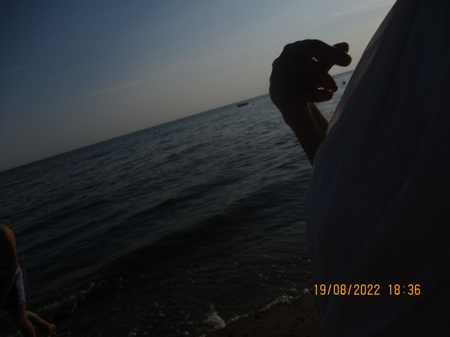 IMG-9935.jpg