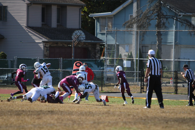IMG-8236.jpg