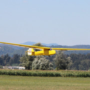 y-4336