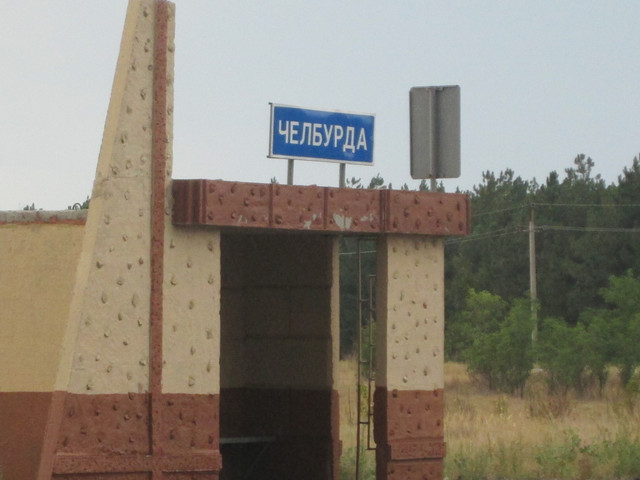 IMG 4559