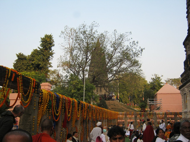 IMG-0936.jpg