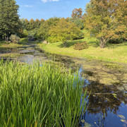 IMG-0624
