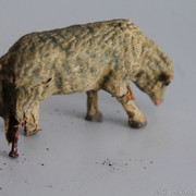 IMG-6682