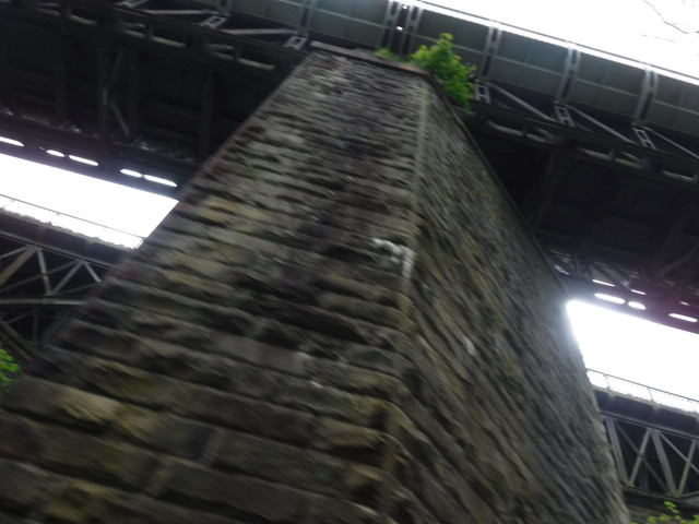 DSCF6059.jpg