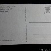 IMG-3822