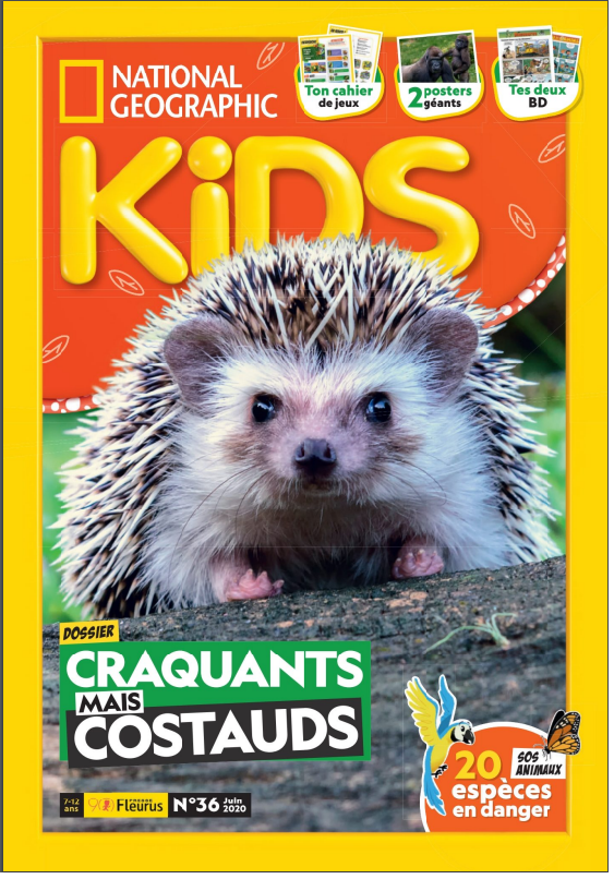 Sans-titre.png