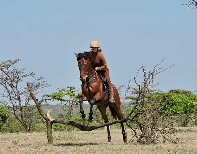 Embark on a thrilling adventure in the heart of Masai Mara with our horse riding safari. Led by expert guides, traverse the stunning savannah landscape and get up close to incredible wildlife. Don't miss out on this unforgettable experience - book your adventure today at drunkenelephantmara.com/horse-riding.php.