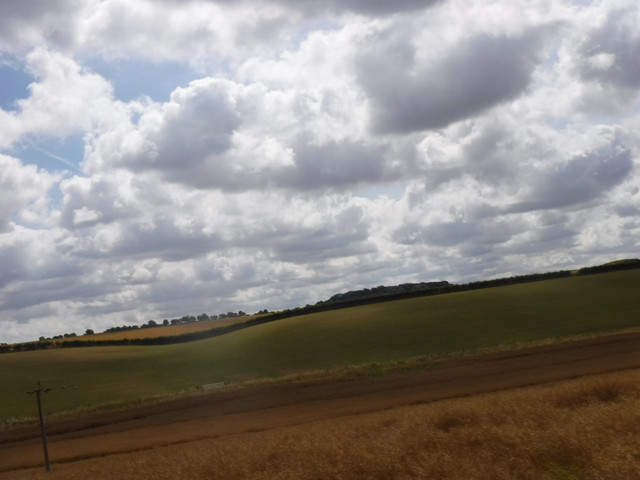 DSCF6167.jpg