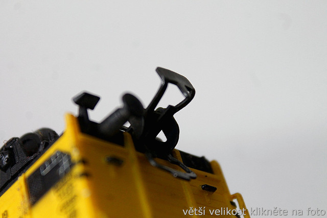 IMG-8667.jpg