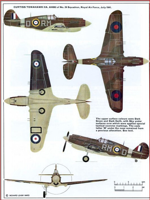 Mr41789.jpg