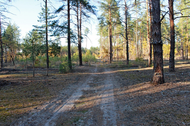 IMG-2232