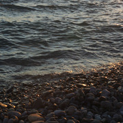 DSC-6846