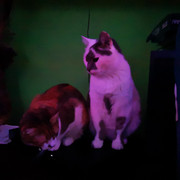 IMG-20220124-025419