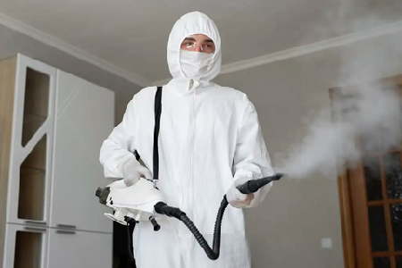 Mold-Removal-in-Burlington