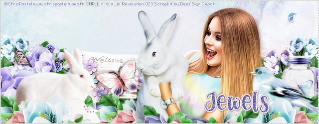 Lin-CP-Bunny2-Jewels