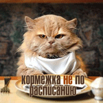 24-korm-2-2.png