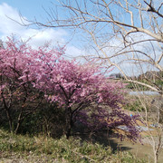 IMG-20230302-102036