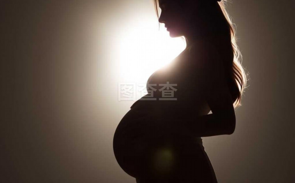企业seo网站 图2