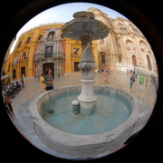 DSCF8920