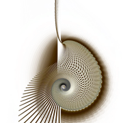 B01-29